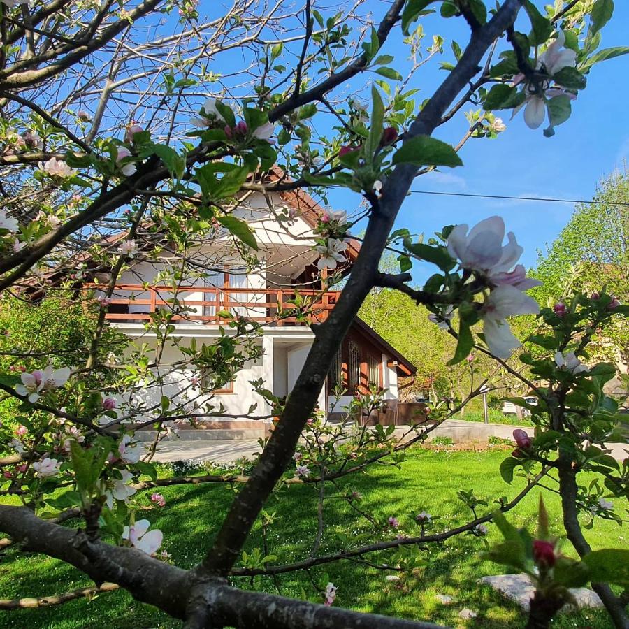 House Samardzic Hotel Jezerce Buitenkant foto