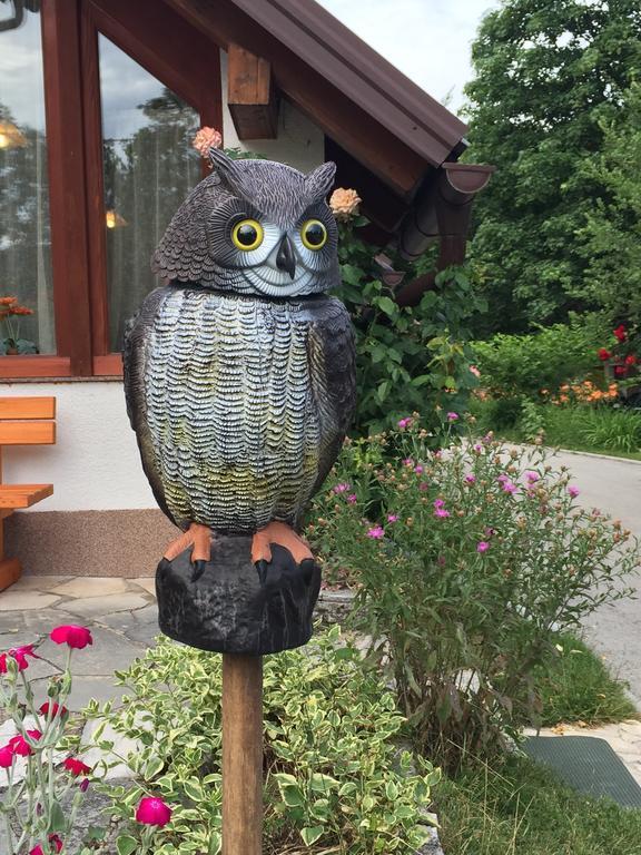 House Samardzic Hotel Jezerce Buitenkant foto