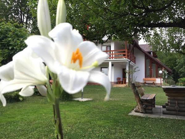 House Samardzic Hotel Jezerce Buitenkant foto
